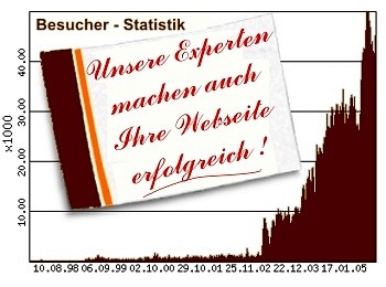 Webseitenanalyse